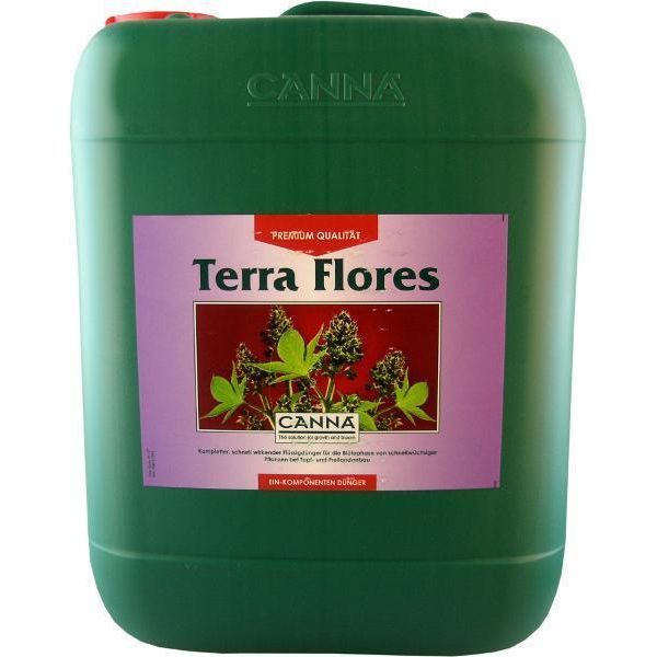 Canna Terra Flores