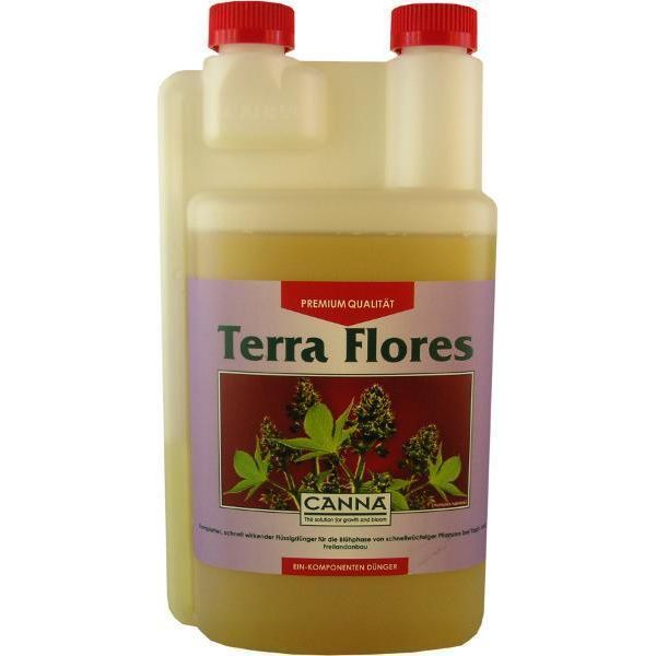 Canna Terra Flores