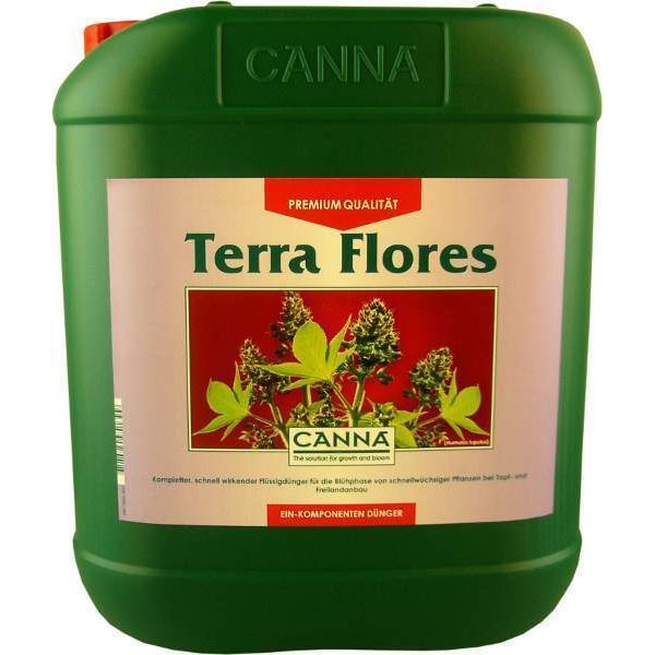 Canna Terra Flores