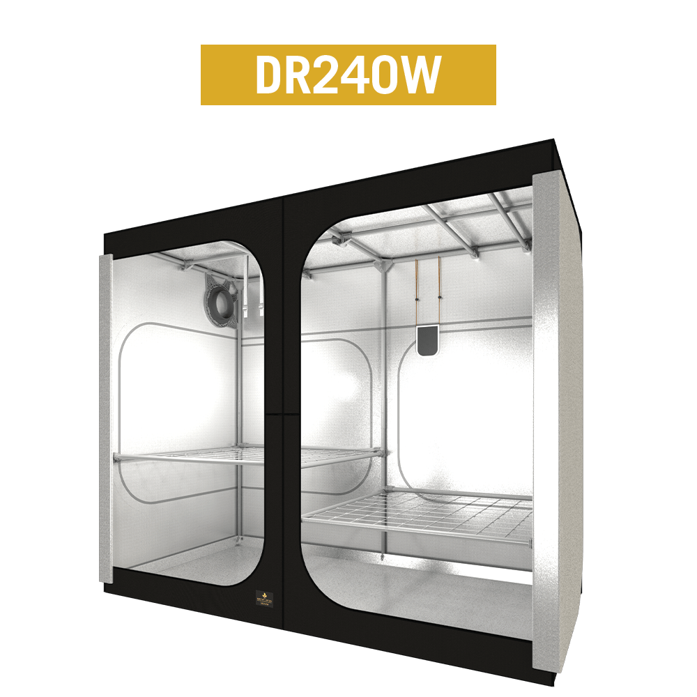 Secret Jardin Dark Room 240W R4.0