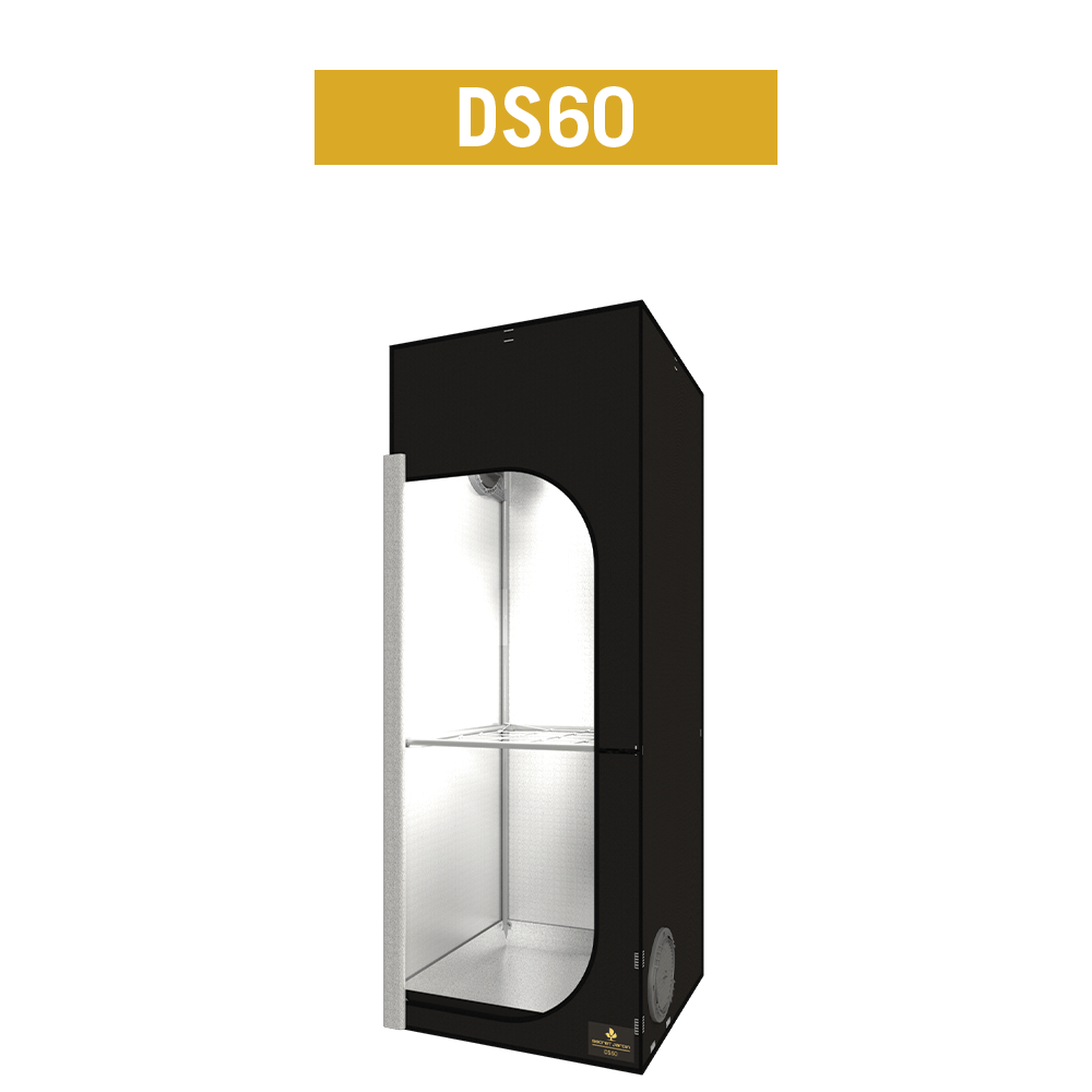 Secret Jardin Dark Street 60 Rev.4.0