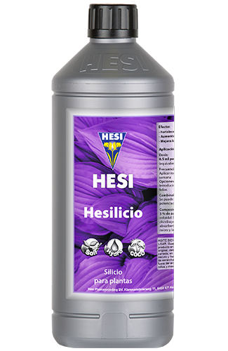 Hesi Hesilicio