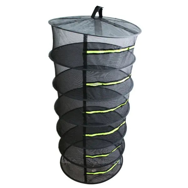 Heisenberg Trocknungsnetz