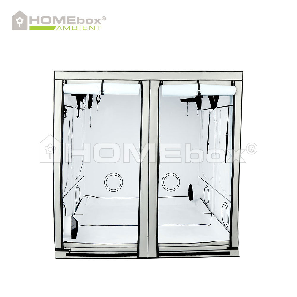 Homebox Ambient Q200+