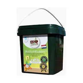 Biotabs Silicium Flash