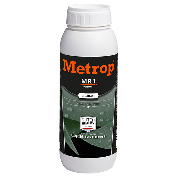 MR1