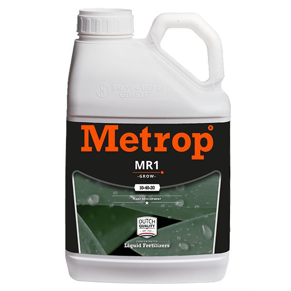 MR1