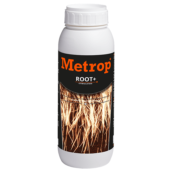 Root+