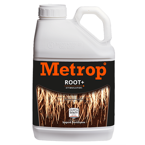 Root+