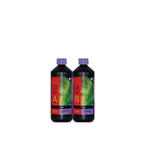 B´CUZZ Coco A / B