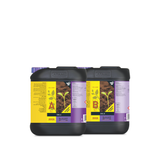 B´CUZZ SOIL A / B
