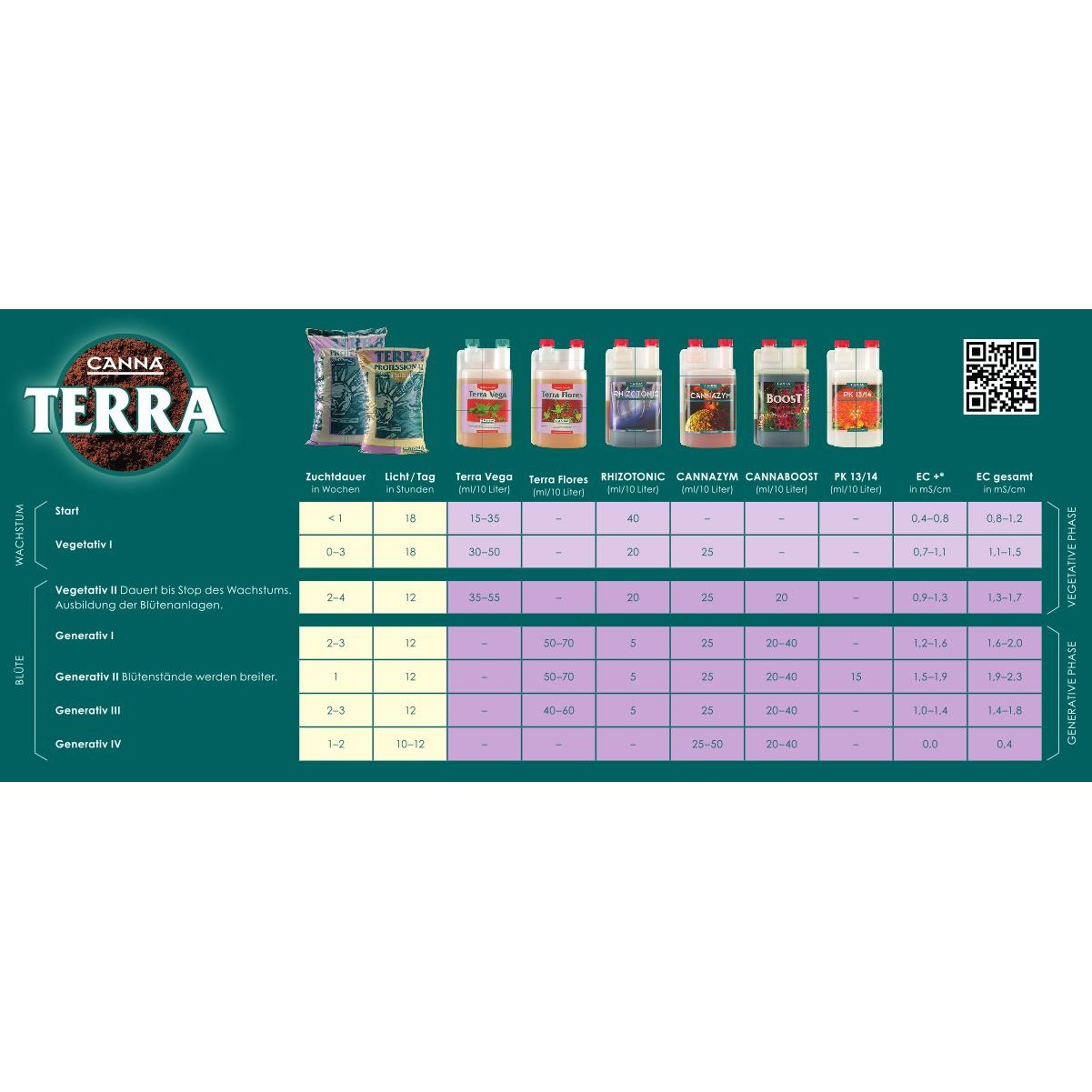 Canna Terra Flores