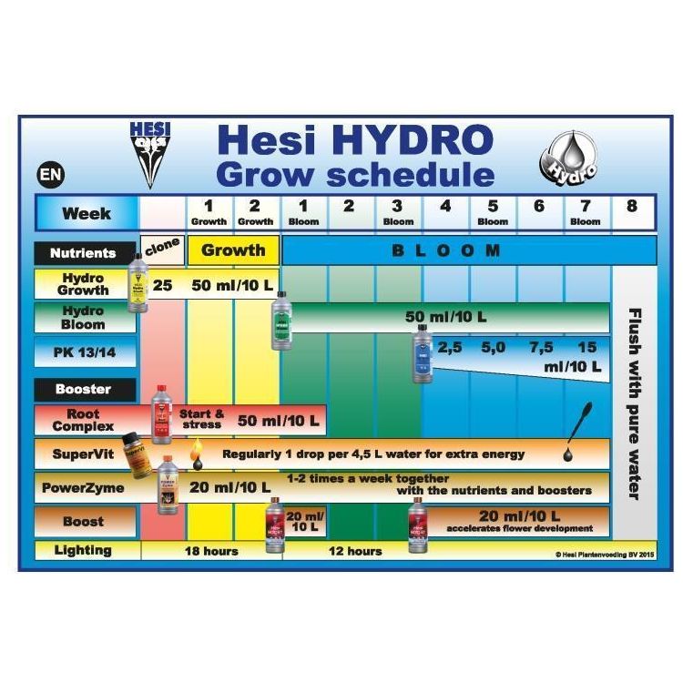 Hesi Blühcomplex