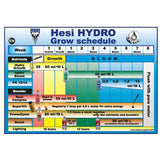Hesi Blühcomplex