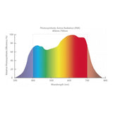 Lumen King LED-Leuchte 720 W Set