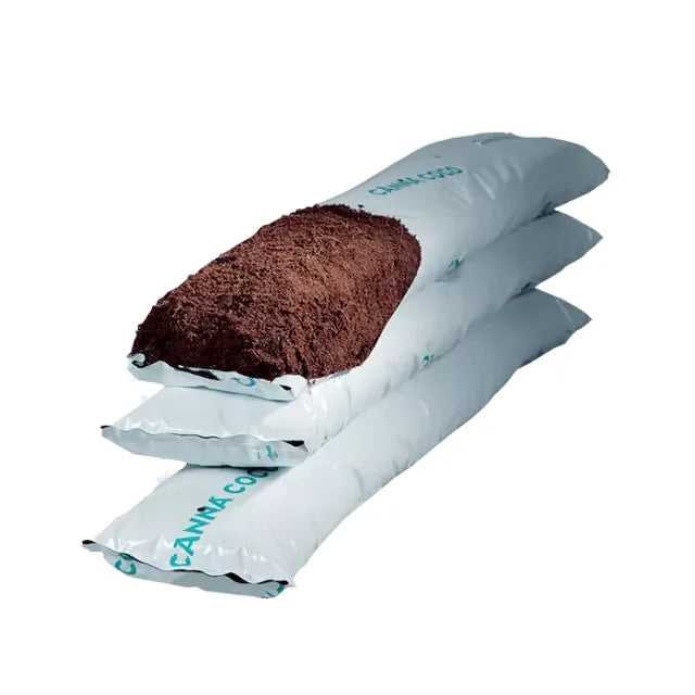 Canna CoGr